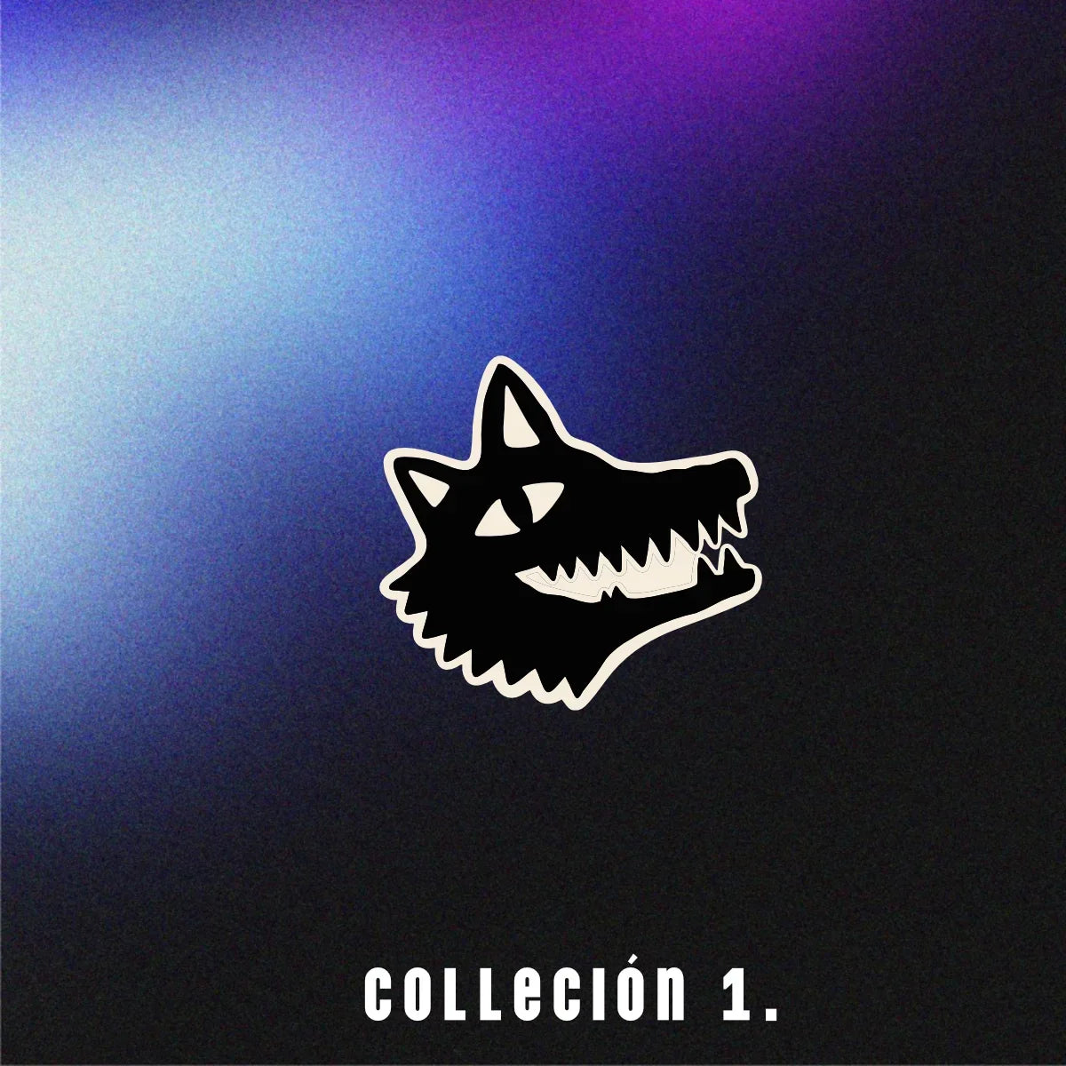COLECCIÓN 1