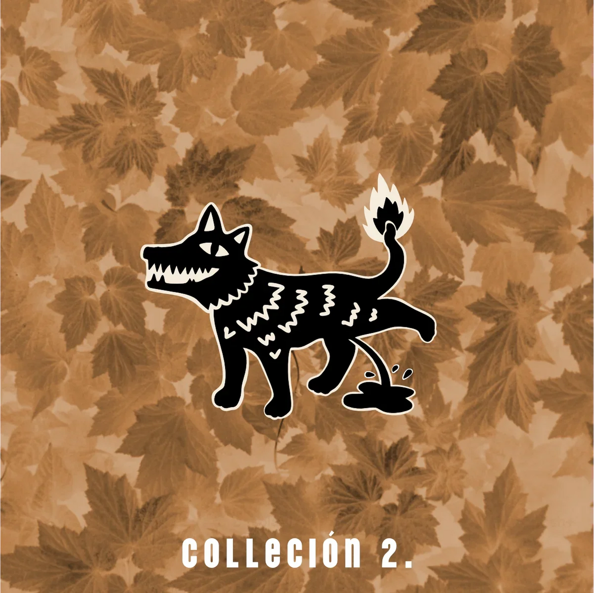 COLECCIÓN 2